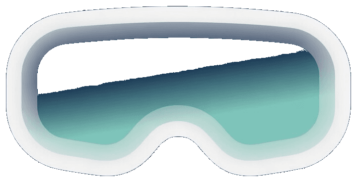 Visus